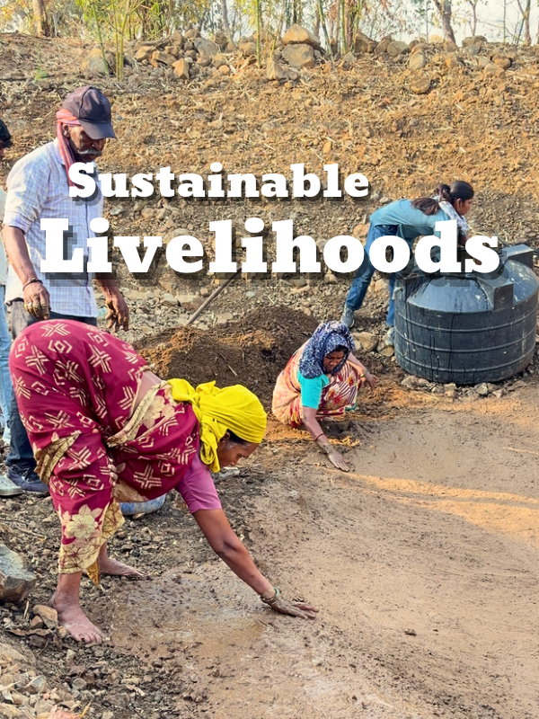 Livelihoods